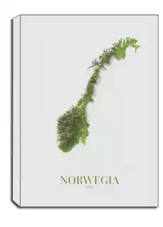 Norwegia mapa obraz na płótnie Wymiar do wyboru 20x30 cm Dom i ogród Wyposażenie wnętrz Dekoracja Obrazy i plakaty