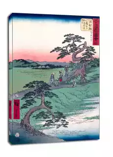 Chiryû The Former Site of the Irises at Eightbridge Village Hiroshige obraz na płótnie Wymiar do wyboru 20x30 cm Dom i ogród Wyposażenie wnętrz Dekoracja Obrazy Ramy Fototapety
