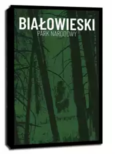 Parki Narodowe Bialowieża obraz na płótnie Wymiar do wyboru 20x30 cm Dom i ogród Wyposażenie wnętrz Dekoracja Obrazy i plakaty