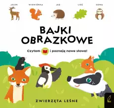 Zwierzęta leśne Bajki obrazkowe Książki Dla dzieci