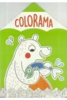 Colorama Niedźwiadek Książki Dla dzieci