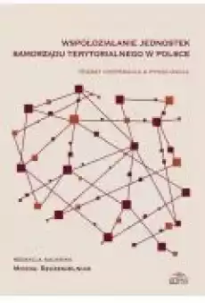 Współdziałanie jednostek samorządu terytorialnego w Polsce Książki Ebooki