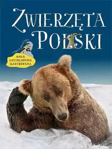 Zwierzęta Polski Mała encyklopedia ilustrowana Książki Encyklopedie i słowniki