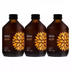 3 x Kombucha Acerola Imbir BIO Organiczna Herbata Fermentowana i Żywa 330 ml Vigo Artykuły Spożywcze