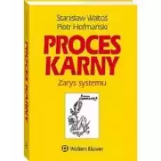 Proces karny Zarys systemu Książki Prawo akty prawne