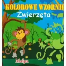 Książeczka kolorowe wzorniki MIX Książki Dla dzieci