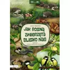 Oddo Jak rosną zwierzęta blisko nas Książki Dla dzieci