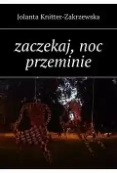 Zaczekaj noc przeminie Książki Ebooki