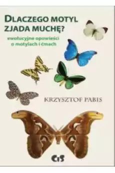 Dlaczego motyl zjada muchę Książki Nauka