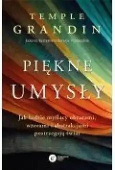 Piękne umysły Jak ludzie myślący obrazami wzorami i abstrakcjami postrzegają świat Książki Nauki humanistyczne