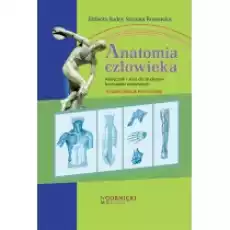 Anatomia człowieka Książki Nauki ścisłe