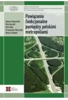 Powiązania funkcjonalne pomiędzy polskimi metropoliami Książki Ebooki