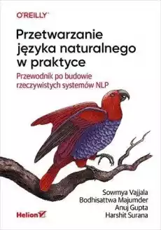 Przetwarzanie języka naturalnego w praktyce Książki Informatyka