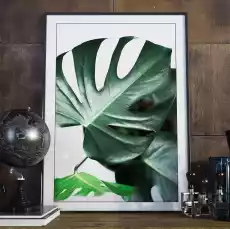 Plakat w ramie true monstera wymiary 20cm x 30cm ramka biała Dom i ogród