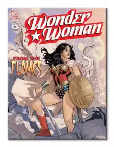 Wonder Woman From The Flames obraz na płótnie Dom i ogród Wyposażenie wnętrz Dekoracja Obrazy i plakaty