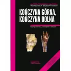 Anatomia prawidłowa człowieka Kończyna górna kończyna dolna Książki Podręczniki i lektury