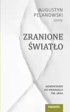 Zranione Światło Komentarze do Ewangelii św Jana Książki Religia