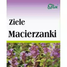 Flos Ziele macierzanki 50 g Artykuły Spożywcze Herbata