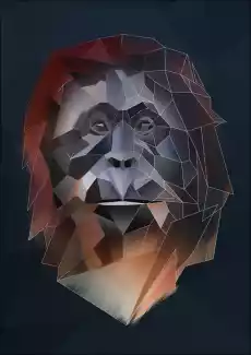 orangutan tło plakat Wymiar do wyboru 20x30 cm Dom i ogród Wyposażenie wnętrz Dekoracja Obrazy i plakaty