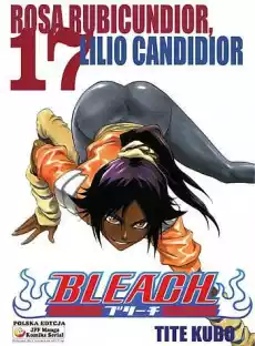 Manga Bleach Tom 17 Książki Komiksy