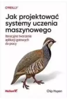 Jak projektować systemy uczenia maszynowego Książki Zdrowie medycyna