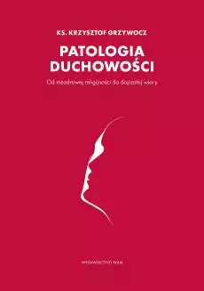 Patologia duchowości Od niezdrowej religijności do dojrzałej wiary Książki Religia