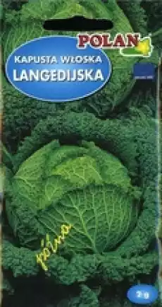 POLAN Kapusta włoska Langedijker Dauerwirsing 2g Dom i ogród Ogród Kwiaty i nasionacebulki