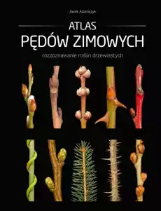 Atlas pędów zimowych Książki Poradniki