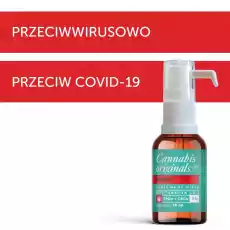 Olejek CBDaCBGa RAWa 8 10 ml Zdrowie i uroda Zdrowie Witaminy minerały suplementy diety