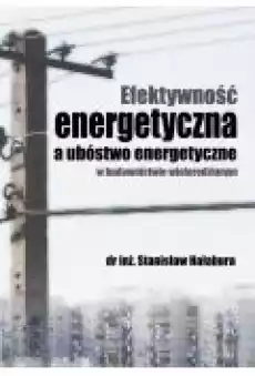 Efektywność energetyczna a ubóstwo energetyczne w budownictwie wielorodzinnym Książki Ebooki