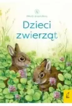 Przewodnik miłośników chrząszczy Książki Dla dzieci