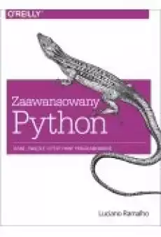 Zaawansowany Python Książki Ebooki