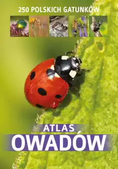 Atlas owadów Książki Turystyka mapy atlasy