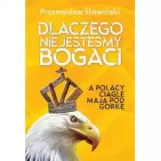 Dlaczego nie jesteśmy bogaci Książki Historia