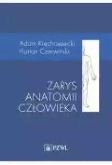 Zarys anatomii człowieka Książki Ebooki