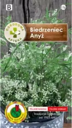 PNOS Biedrzeniec Anyż 05 g Ogrodowa Apteka Dom i ogród Ogród Kwiaty i nasionacebulki