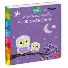 Pod gwiazdami Akademia Mądrego Dziecka Niesamowity spacer Książki Dla dzieci