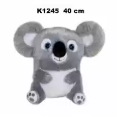 Maskotka Koala kula 40cm 164698 SunDay Dla dziecka Zabawki Maskotki