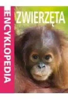 Mini Encyklopedia Zwierzęta Książki Dla dzieci