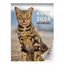 Kalendarz 2024 ścienny Koty Książki Kalendarze