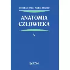 Anatomia człowieka Tom 5 Książki Podręczniki i lektury