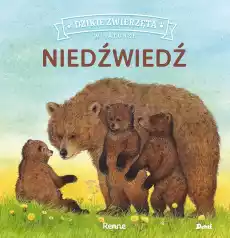 Niedźwiedź dzikie zwierzęta w naturze Książki