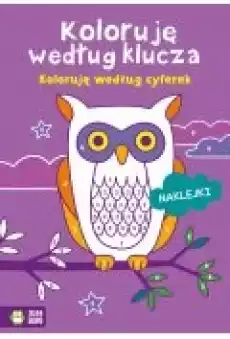 Koloruję według klucza Koloruję według cyferek Książki Dla dzieci