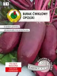 PNOS Burak Ćwikłowy Opolski na taśmie 6m Dom i ogród Ogród Kwiaty i nasionacebulki