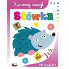 Książka Pierwszy zeszyt Słówka MOREX Książki Dla dzieci