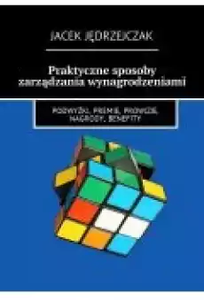 Praktyczne sposoby zarządzania wynagrodzeniami Książki Ebooki