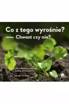 Co z tego wyrośnie Chwast czy nie Dom i ogród