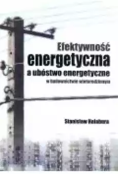 Efektywność energetyczna a ubóstwo energetyczne Książki Zdrowie medycyna