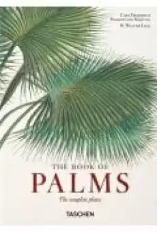 Martius The Book of Palms 40th Ed Książki Literatura obca