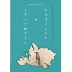 Iriomote w deszczu Książki Literatura piękna